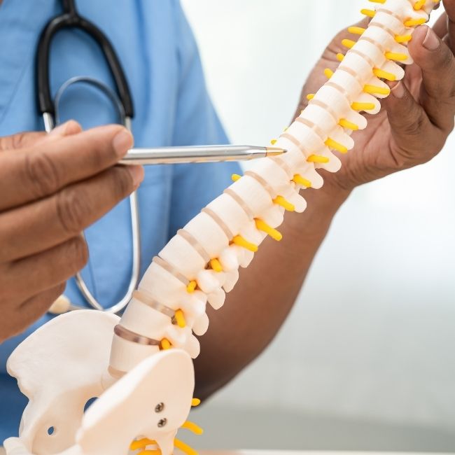 cirugía de columna